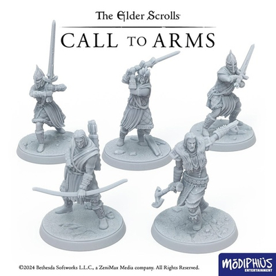 Call to Arms Skyrim Stormcloak Starter Set