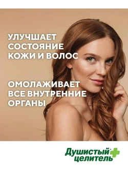 Травяной чага чай с мятой 200 грамм