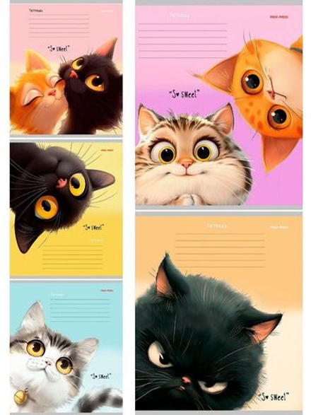 Тетрадь А5 12л косая лин. с доп.горизонт.лин. Проф-Пресс "Кошачьи мордочки - 4" 5диз.в сп.