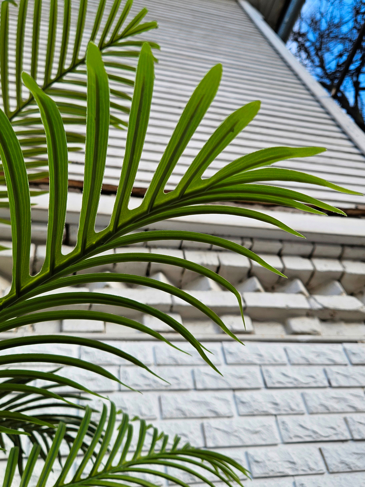 Искусственная Пальма Арека 250см в кашпо