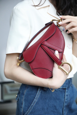 Christian Dior Saddle Bag 21 cm