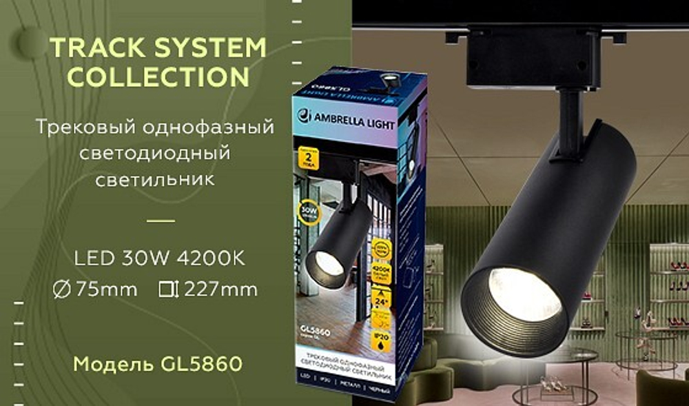 Светильник на штанге Ambrella Light GL GL5860
