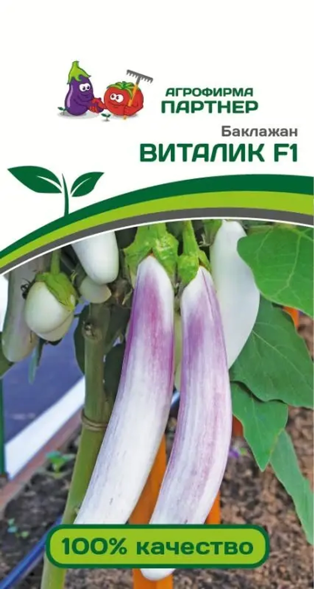 Баклажан Виталик