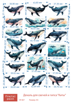 Трансфер переводной - декаль для свечей и гипса киты 007 А5