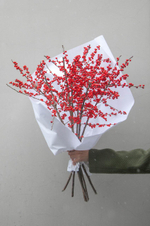 Илекс красный