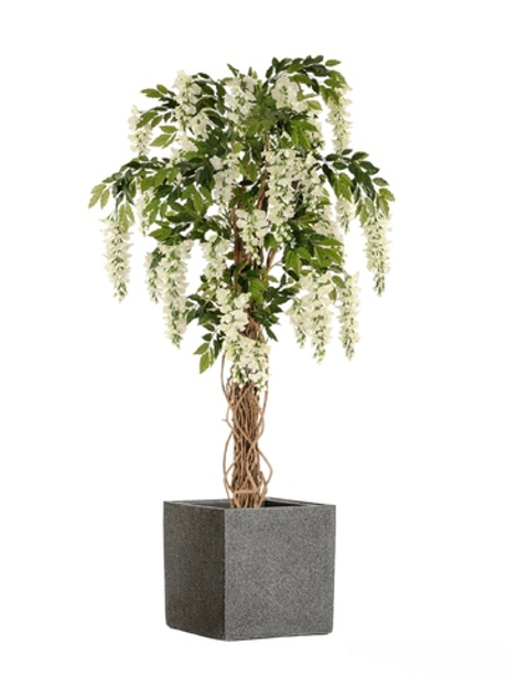 Комплект - Вистерия лиана белая 180 см в кашпо TREEZ Effectory - Stone