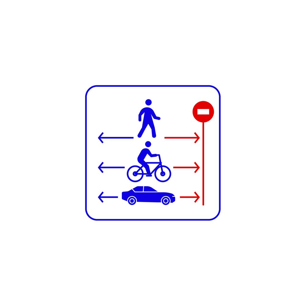 Direction Detector детектор движения в запрещенном направлении Trassir