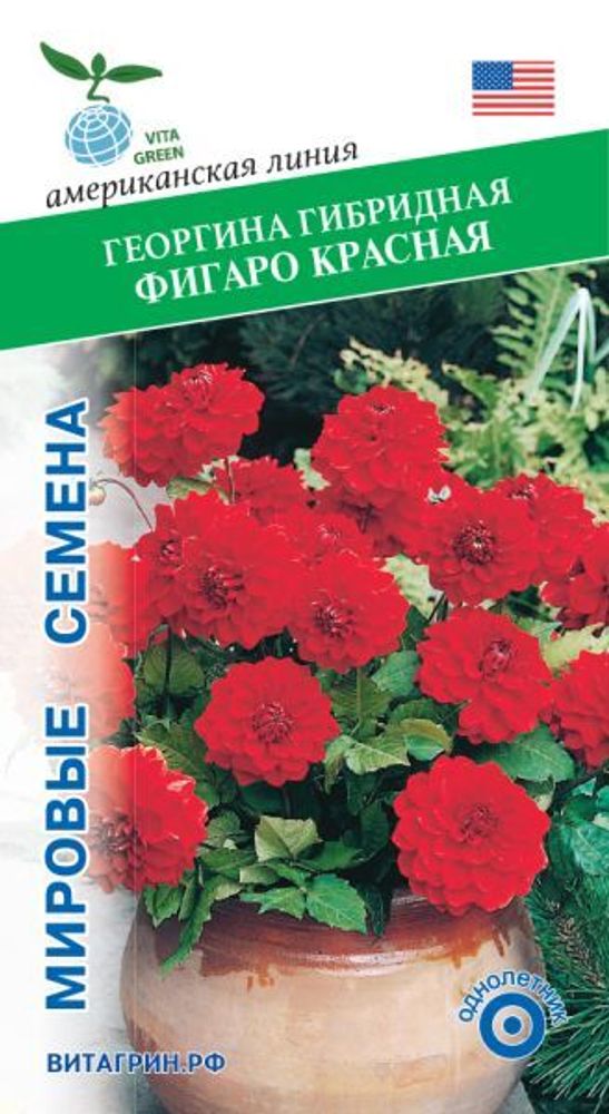 Георгина гибридная Фигаро Красная10шт Мировые Семена VITA GREEN