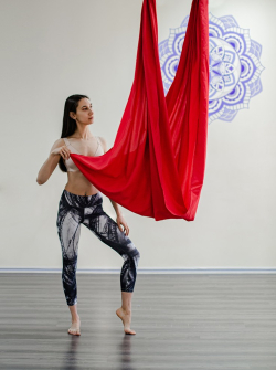 Гамак для йоги Classic pluse 4 м