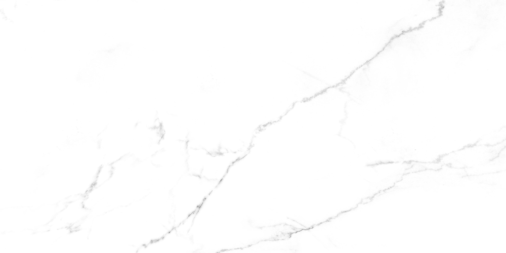 Discovery Blanco Керамогранит белый SG50002420R 59,5х119,1 матовый