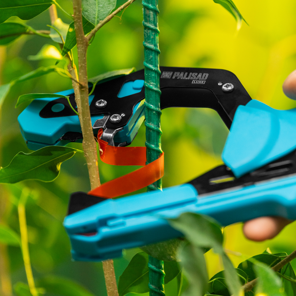 Набор, тапенер садовый для подвязки растений, скобы 10 000 шт., 11 лент 30 м, LUXE Palisad
