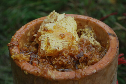 Бортевой (Дикий) мёд