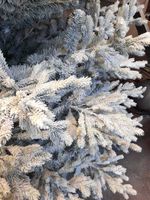 Большая елка заснеженная «Сказочная» (Литая+пвх) 5,5 м