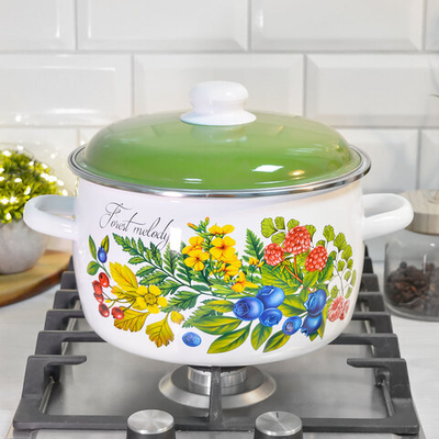 Кастрюля 5,5л "Лесная мелодия"