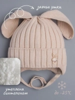 Шапка зимняя с ушками на завязках