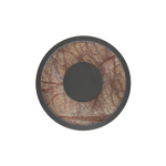 Настенный светодиодный светильник Favourite Tallar 4445-1W