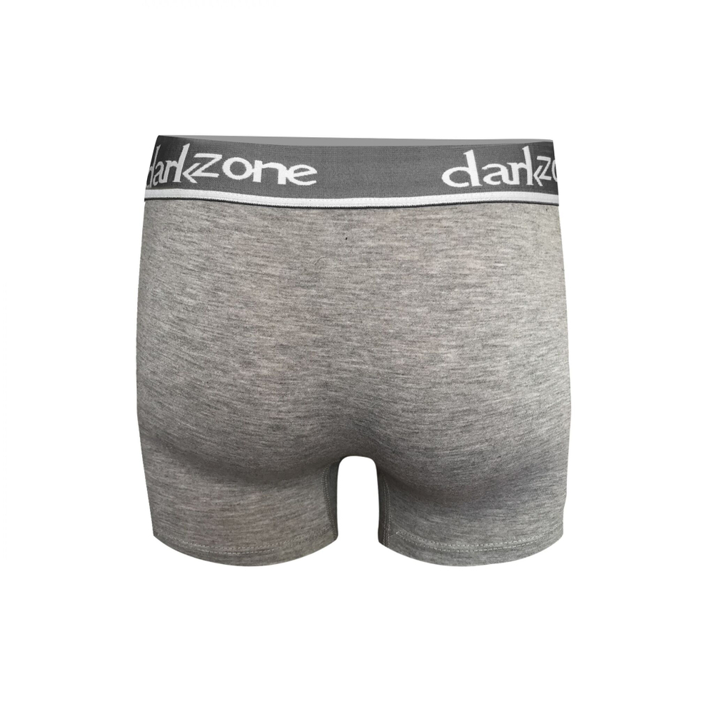 Серые меланжевые трусы-боксеры с контрастной надписью на резинке (Размер: XXL) (Цвет: серый)