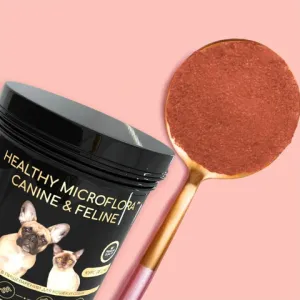 Кормовая добавка Healthy microflora Canine&Feline Здоровая микрофлора для кошек и собак 30г