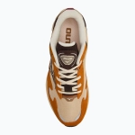 Mizuno Wave Rider mojave desert/chicory coffee/pumpkin spice