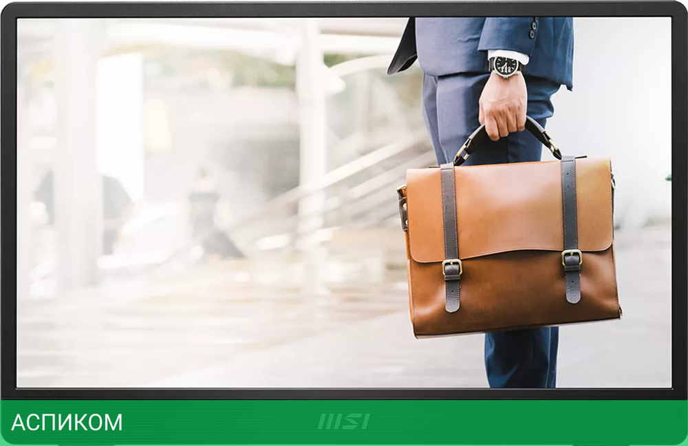 Портативный монитор MSI Pro MP161