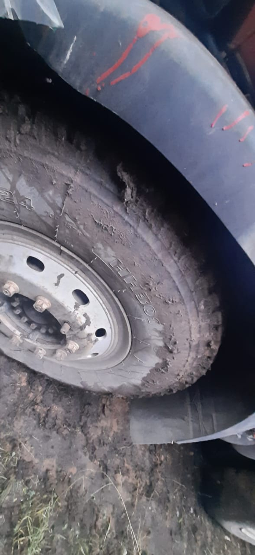 Бецема БЦМ-59 на шасси MAN TGS 8x4 Самосвал БЦМ-59 (Дизельный, 10,5 л, 441 л.с., МТ)