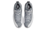 Кроссовки Jordan Air Jordan 12 Retro "Stealth"