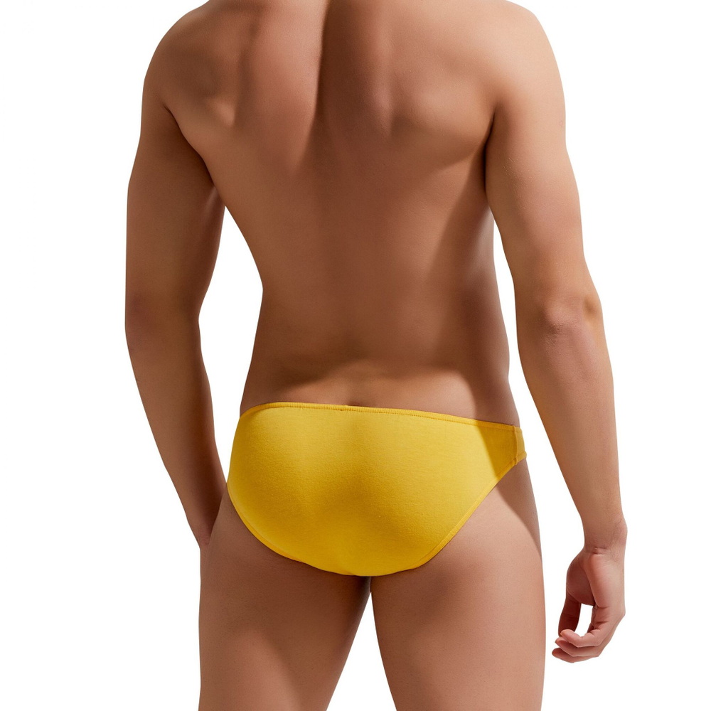 Хлопковые мужские трусы-слипы Colours of the Planet Brief (Размер: XL) (Цвет: красный)