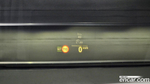 BMW 5 Series (G30) 530e M Sports (06.2021)