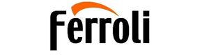 Газовые котлы Ferroli