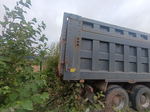 Shacman (Shaanxi) SX* 8x4 Самосвал SX331863366 (Дизельный, 12,5 л, 544 л.с., МТ)