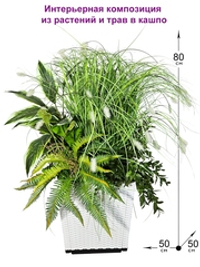 Интерьерная композиция из растений и трав в кашпо