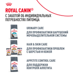Royal Canin Maine Coon Adult Мейн Кун Эдалт Корм влажный для взрослых кошек породы Мэйн Кун соус 85г