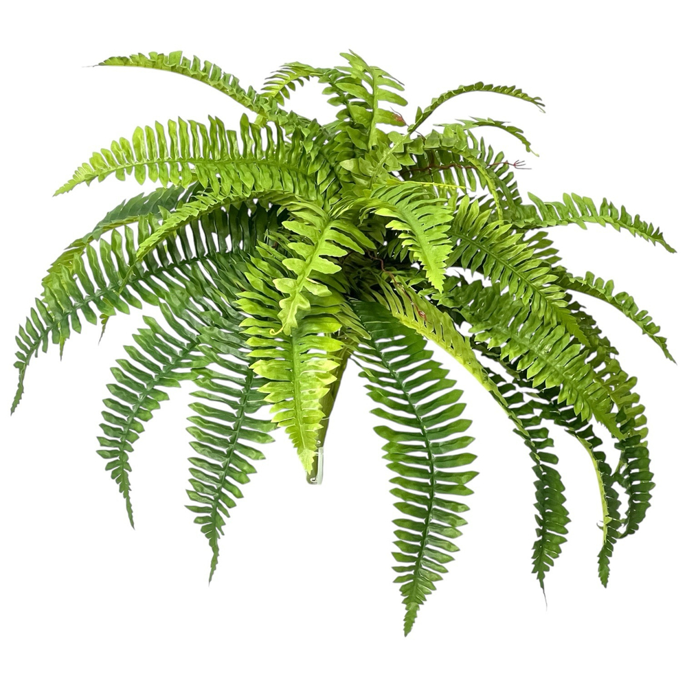 Папоротник Бостон светло-зеленый диаметр 65 см