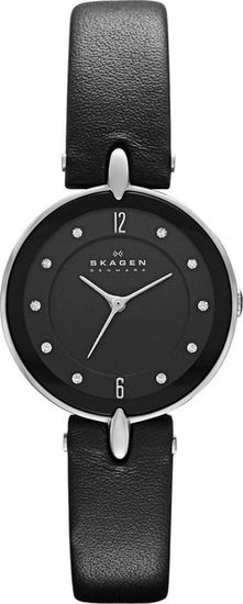 Наручные часы Skagen SKW2011