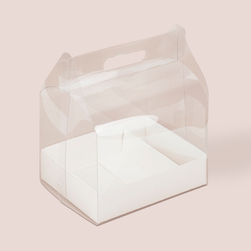 Переноска пластиковая 232*172*255 мм с коробкой и разделителем