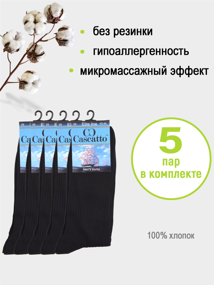 Носки мужские (5 пар в комплекте)