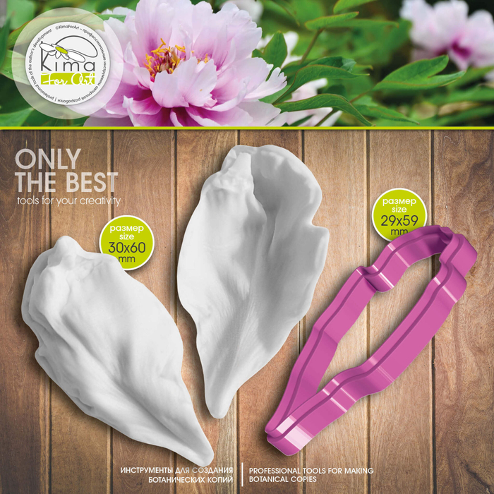 Пион древовидный лепесток средний