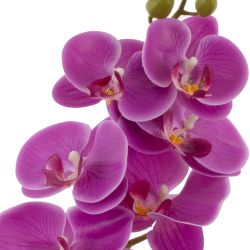 GAEM Цветочная композиция "Орхидея", L16,5 W14 H46,5 см