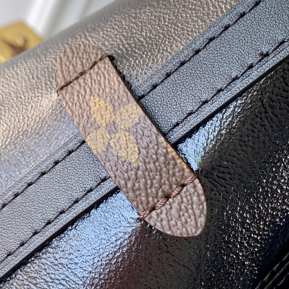 Louis Vuitton CarryAll BB