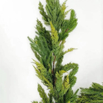 Гирлянда Хвойный микс 290 см.