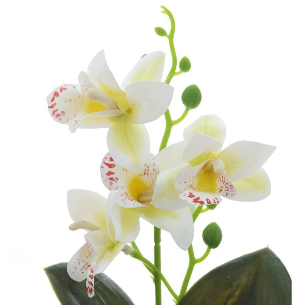 GAEM Цветочная композиция "Орхидея", L13 W12 H29 см