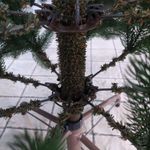 Ель искусственная «Русская Императрица» (Литая хвоя) 3 м