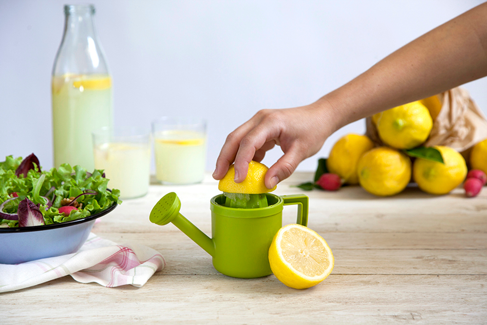 Соковыжималка для лимонов lemoniere