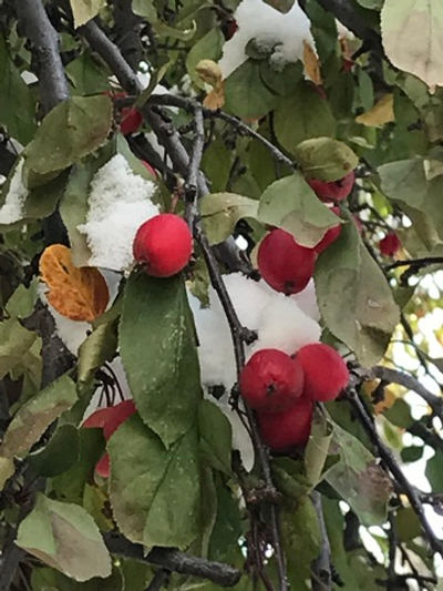 Тайные Знания Тольтеков - Вебинар 9