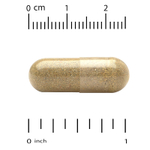 California Gold Nutrition, EuroHerbs™, экстракт мелиссы лекарственной, качество Euromed, 500 мг, 60 растительных капсул