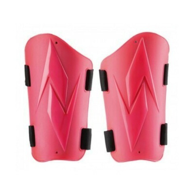 Защита предпл. ZANDONA дет. роз.