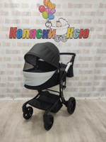 Коляска трансформер Farfello Aimile Pro черный