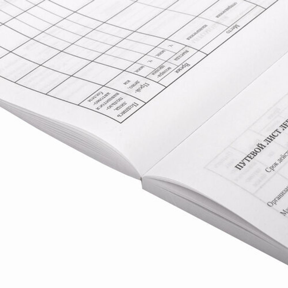 Бланк бухгалтерский, офсет, "Путевой лист легкового автомобиля", А5 (135х195 мм), СПАЙКА 100 шт., BRAUBERG, 130133