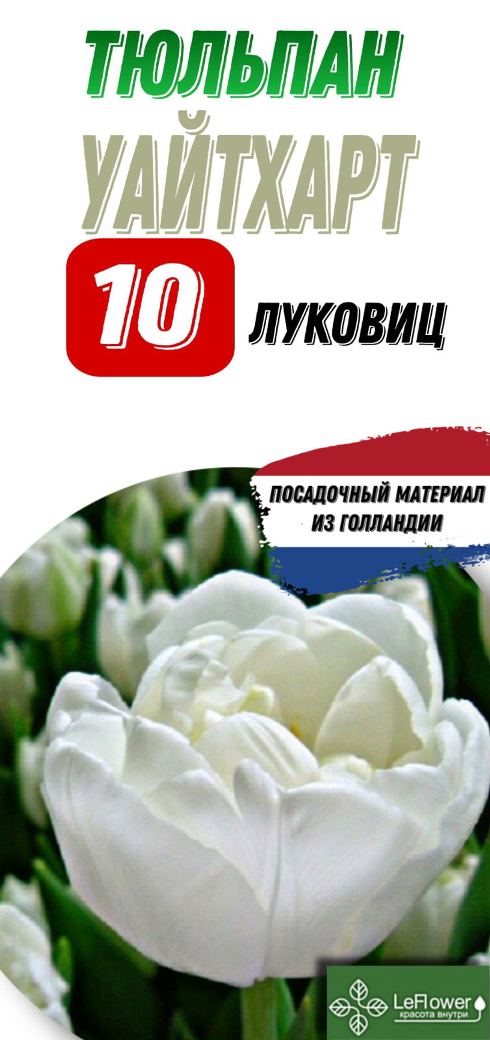 Тюльпан Луковица, Уайт Харт, 10шт