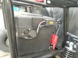 Багги Green Camel Намиб T009 (60V 1500W R7 Дифференциал)